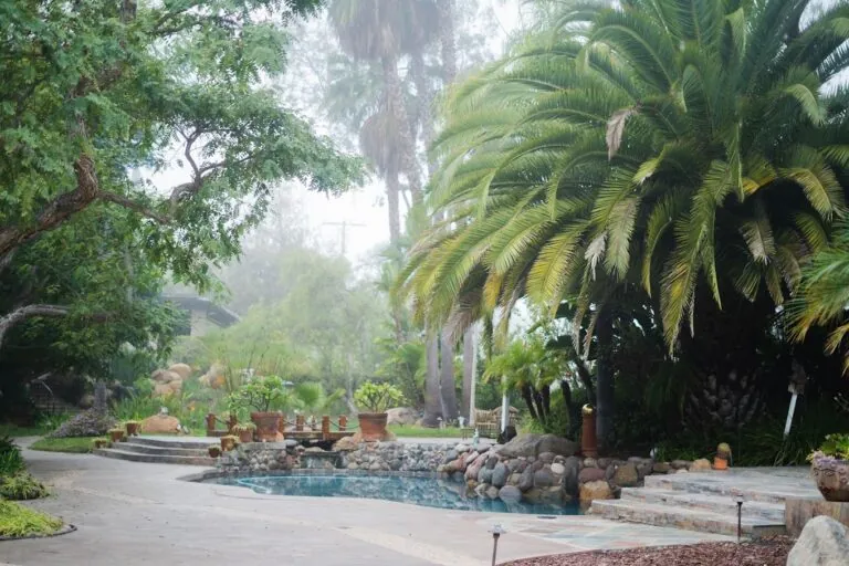 2023-04-27-27-768x512