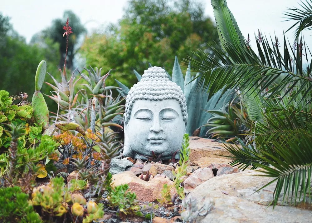 addiction-recovery-center