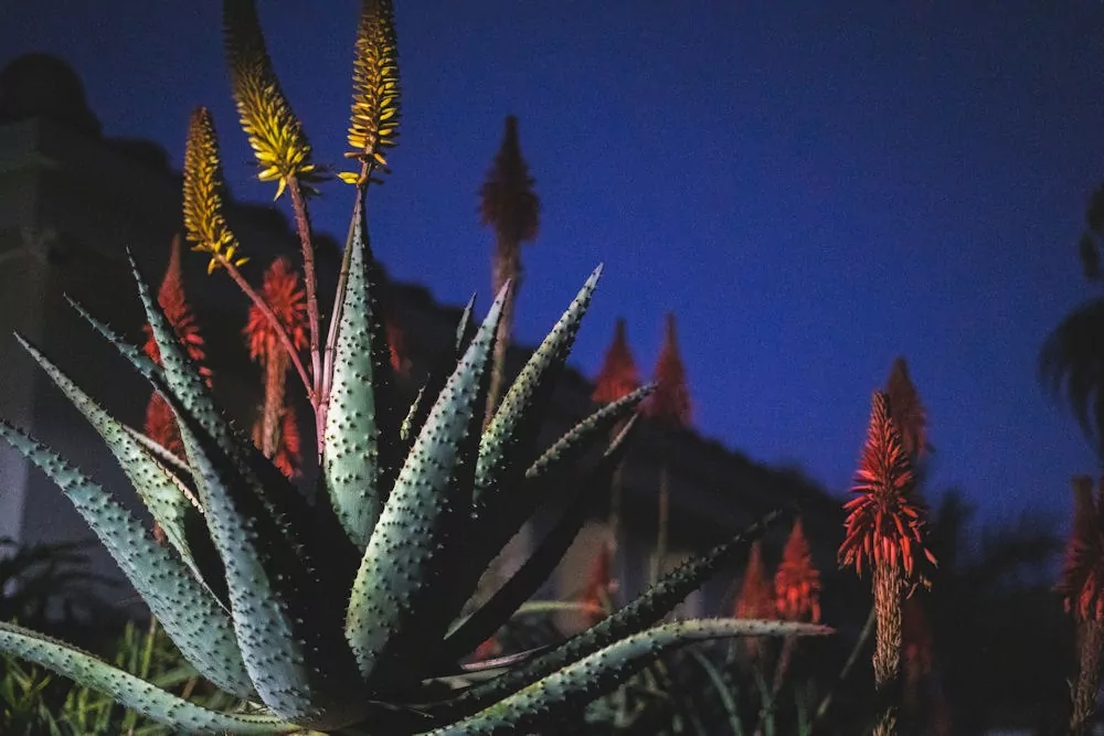 addiction-treament-center